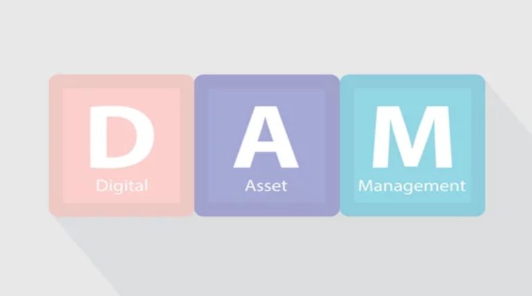 Scalability and Customization of DAM